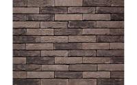 Клинкерная плитка Vandersanden HF Cortona 71,WF 210x20x50 мм