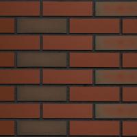 Клинкерная плитка Roben Westerwald Bunt гладкая NF14, 240*14*52 мм