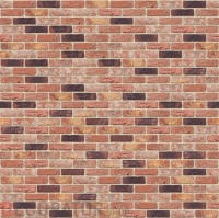 Zinnia (Vandersanden)