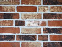 Клинкерная плитка ручной формовки Westerwaelder R22 WK969 Old Saxon Blend, 215*65*22 мм